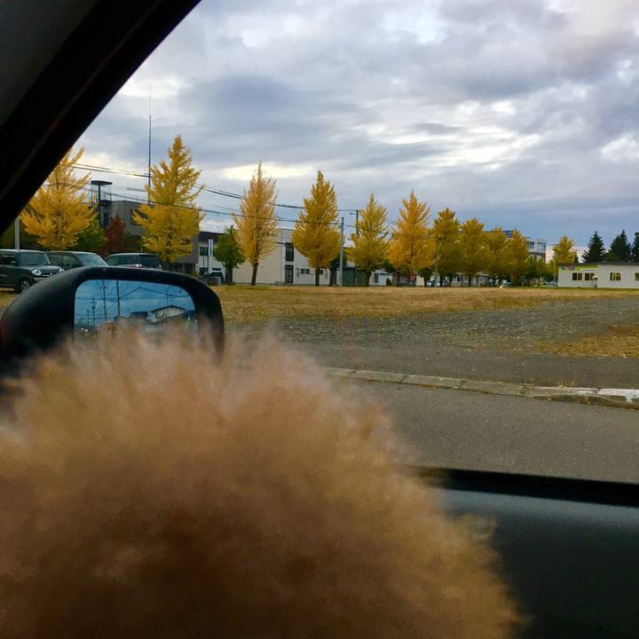 C5363585 6309 4acc ba3d c24d5d7747d6 1508487648288