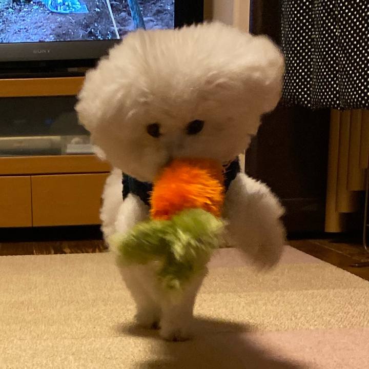 C536533a 13cb 4bc5 b7d6 36d58878fe3e 1671181473359