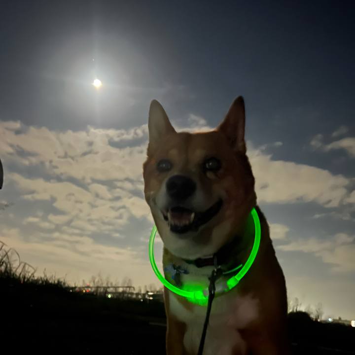 C5369509 9860 4c66 a1e7 a0c91203487f 1728919011205