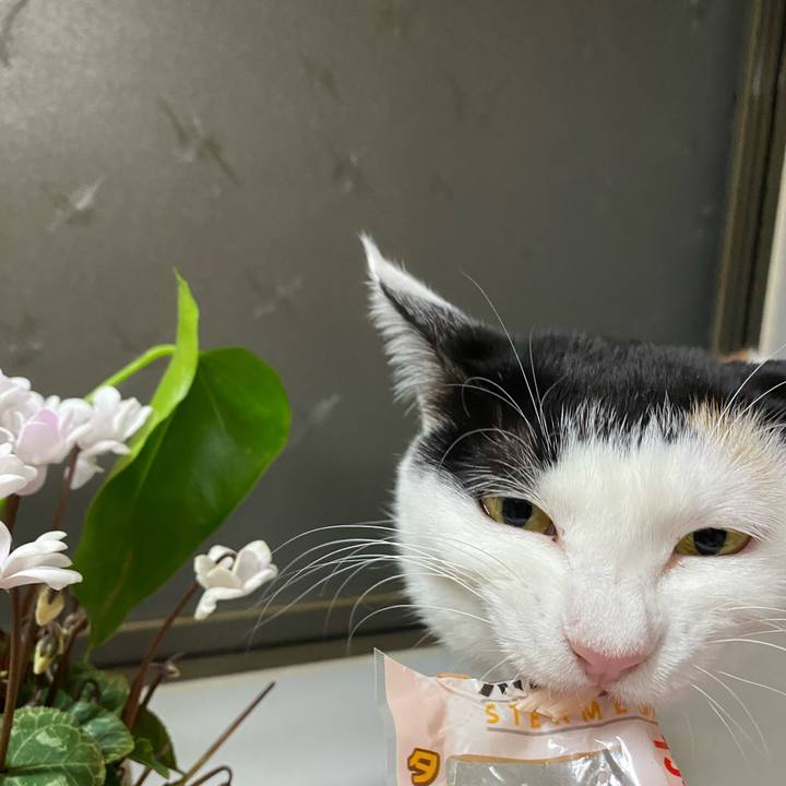 C5369531 ec56 4ac7 a60c 03695ac6cc1c 1670494272989