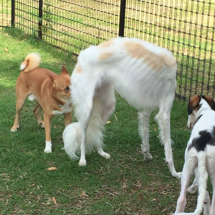 C536a0ad 4ac9 4a44 9a7d 5334fe2e95c5 1589468209821