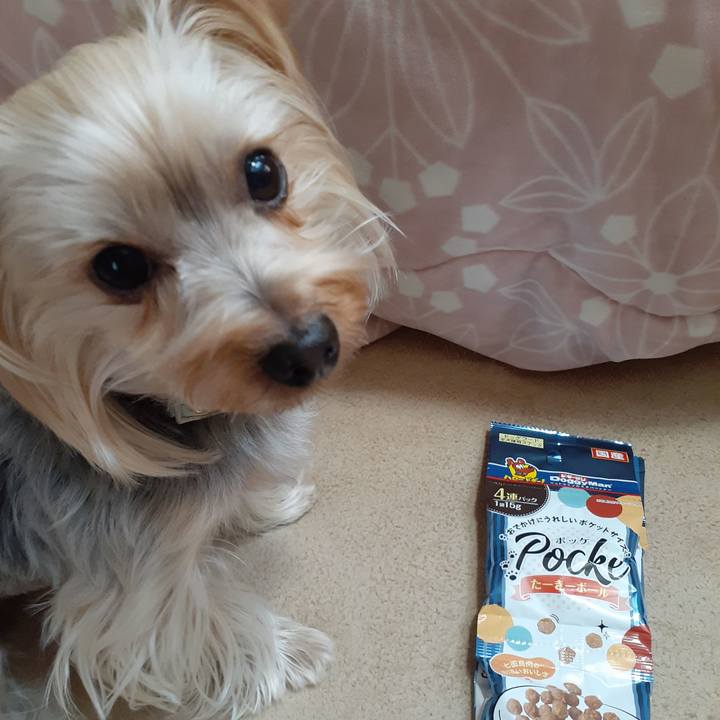 C536bdce 557f 4493 84ea 91569f8f8a1a 1608692905847