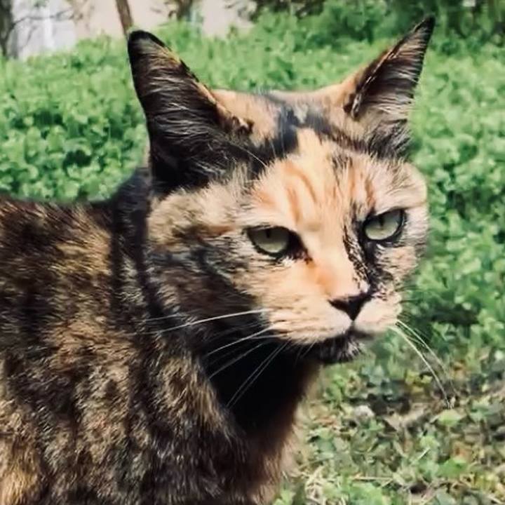 C536dda7 45bb 48c4 8c0f 51a706252f50 1741142069545