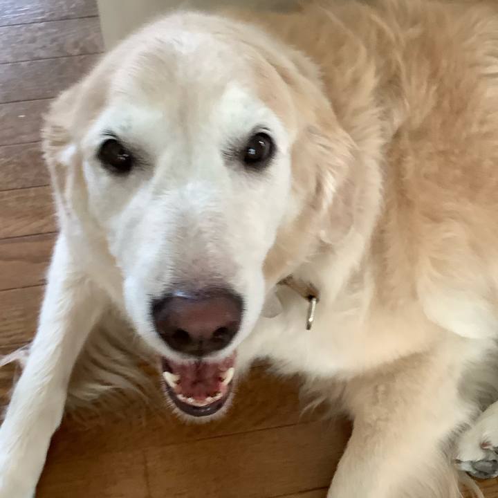 C536dea2 29c8 4ae6 895a fc7542bf955c 1629848567948