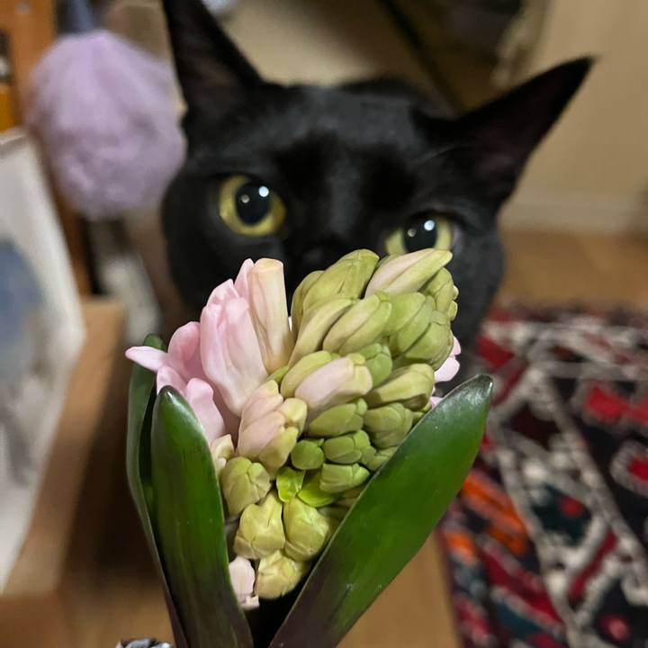 C536e854 f3d5 4342 917a a3e7bfd31a4b 1771503154409