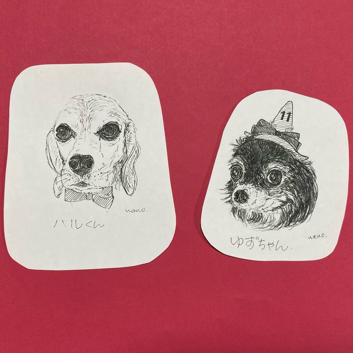 C537101f 1a24 4900 ad51 ae2a983e402a 1639641897445