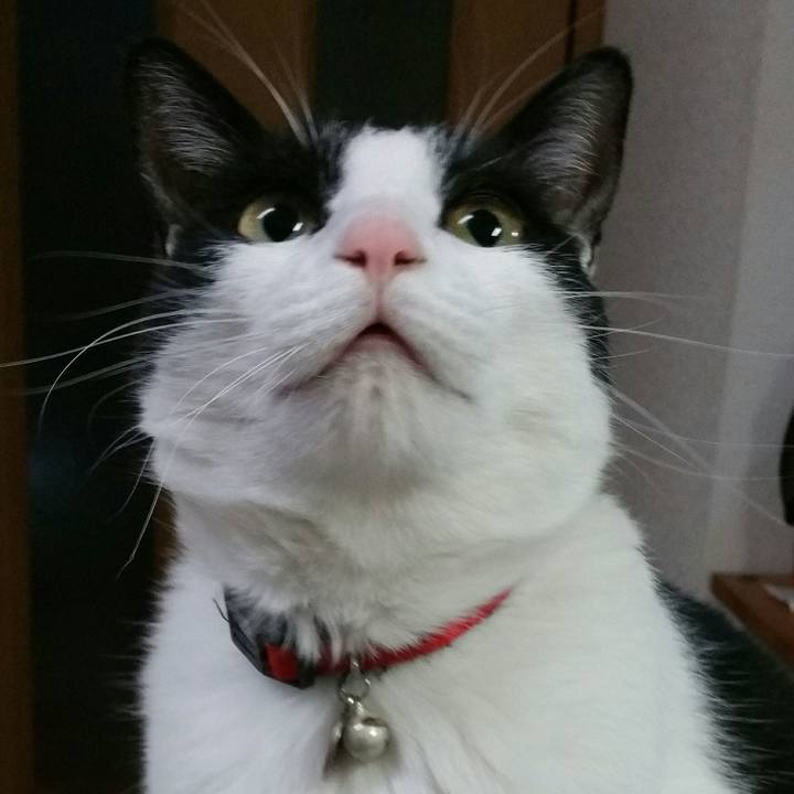 C537407d 9380 44cc baef 1695792f7125 1517916302516