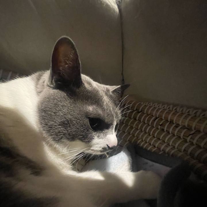 C53742a3 91d1 459a bacd 6fa1ac452281 1686228315665