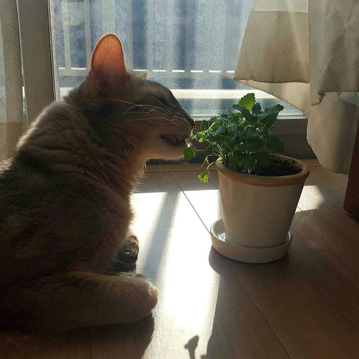 C53777c6 5902 4784 89b8 53a463ac75cb 1547960081128