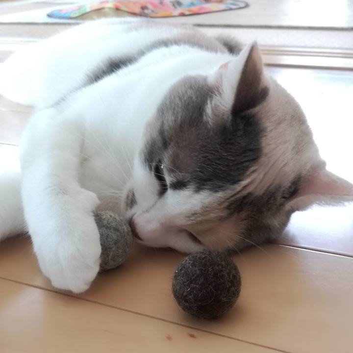 C5377ff0 022a 4038 9246 625bf2720d49 1535509480688