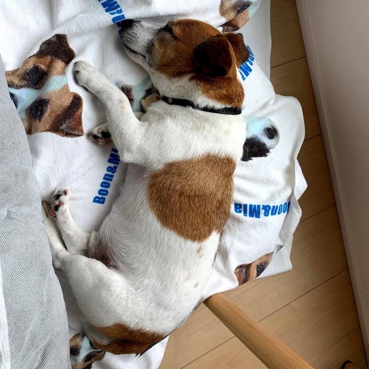 C53786f5 b31e 45c3 b644 af66df5b45fc 1684501644824