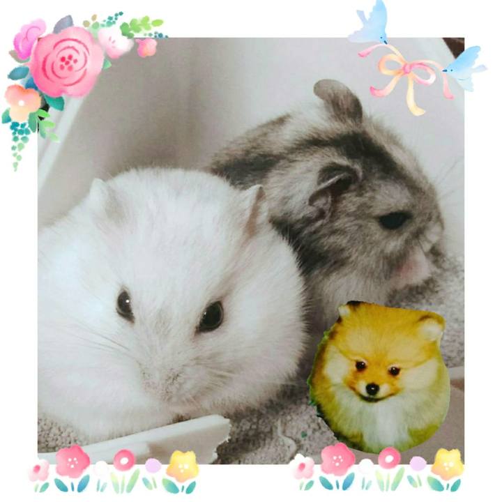 C537b13c c5b5 4e35 ae2c cf8a147f585f 1554071190457