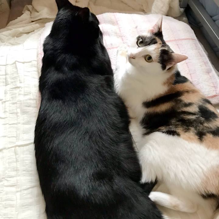 C537b2c4 e9f0 42f6 9272 759f4df5e799 1537109928479