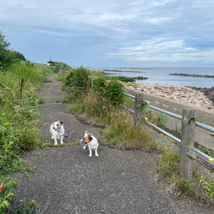 C5382a7a afa6 406f a6ac bb49c9e058ae 1721084004511