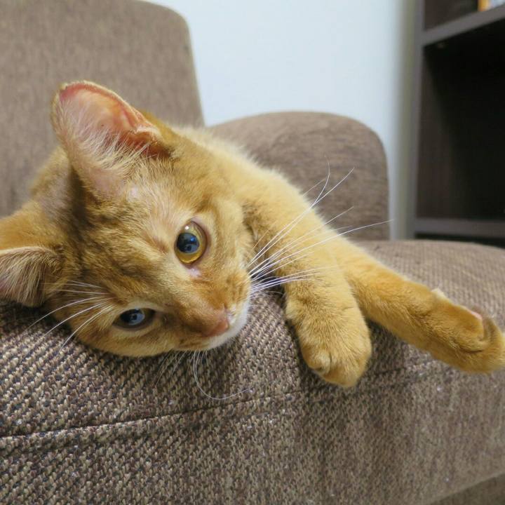 C5384a35 ea9d 4bb4 b107 ef0a6cedbbd3 1543064509927