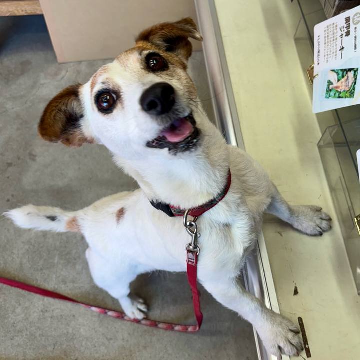 C53855df 4f1b 4669 bc6e 6184d23395ba 1768732727744