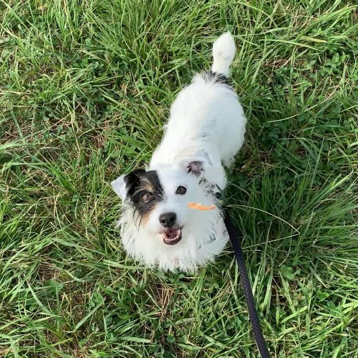 C53857d7 0ea1 426a 91aa 3476989eac4c 1657322385146