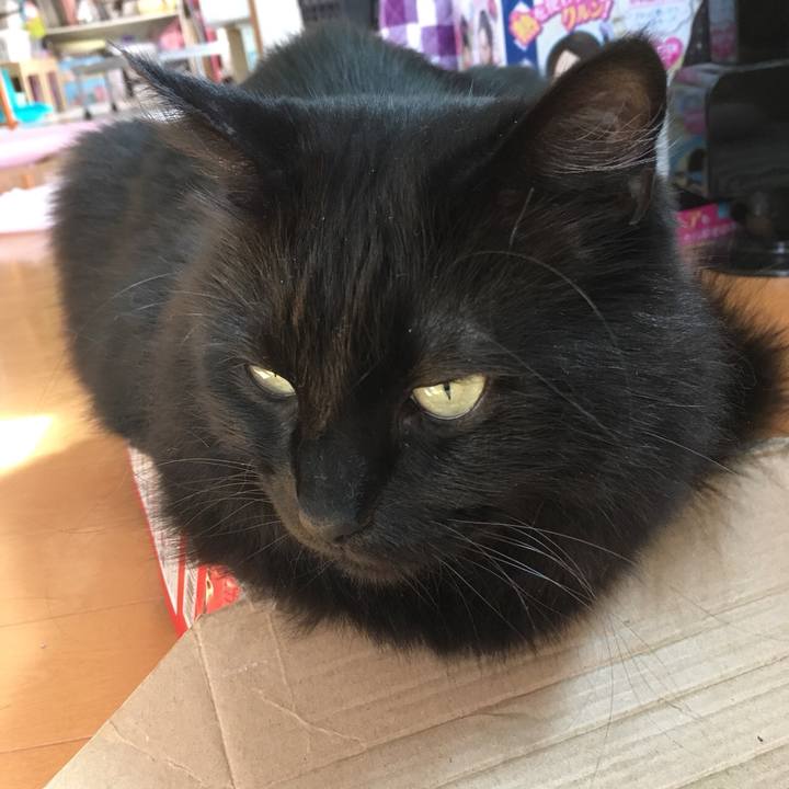 C5388385 5a76 41c8 a836 46df42d35f8e 1531824670096