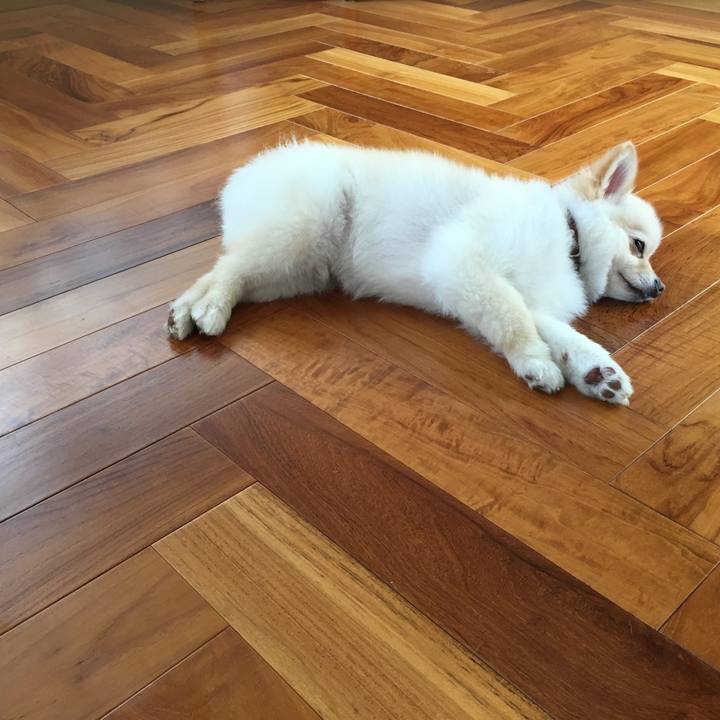 C538ab7b 9565 41f0 b48a 7e829277c393 1531820525304