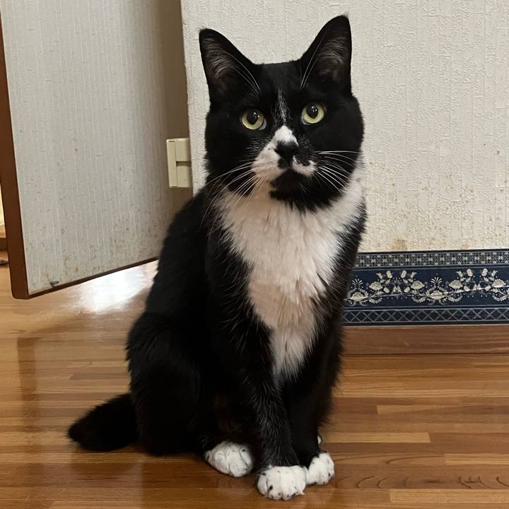 C538c942 5775 4158 8e45 b7572abf4adf 1759987703083