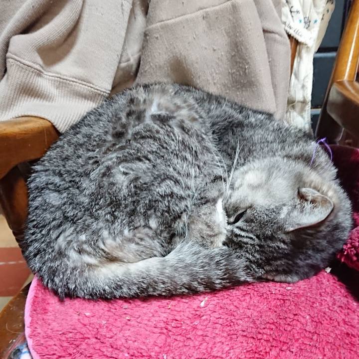 C538e72e c9b3 480e b8af e8c4e4e1a12e 1580903304771