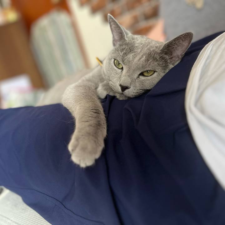 C538e8bc 5205 4729 b9d3 d3bccf82ad64 1694937554600