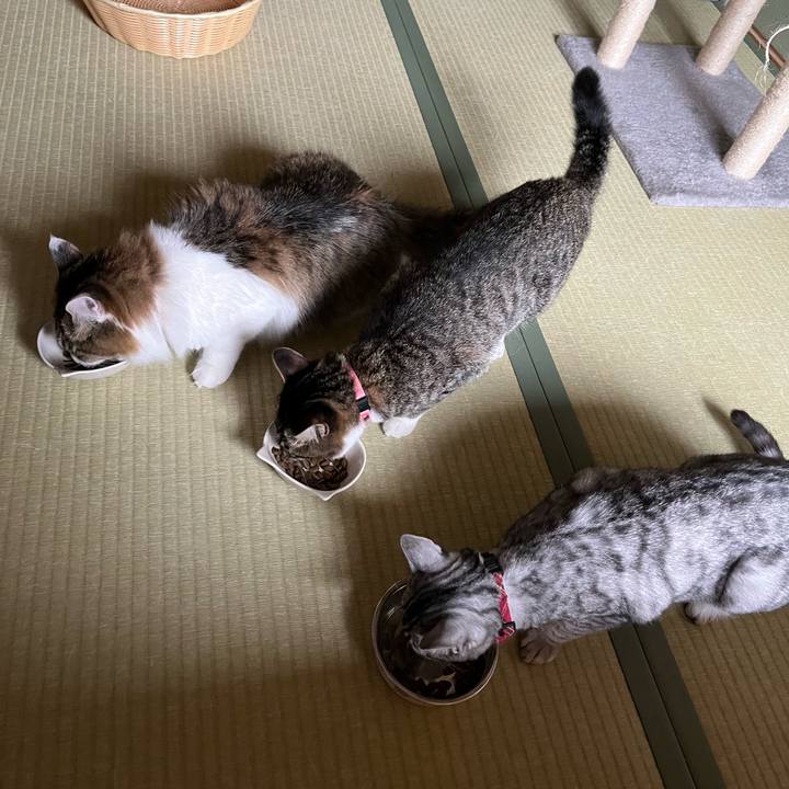 C538ff61 a077 4b2c 9d44 dc28e57ffebe 1718152921078