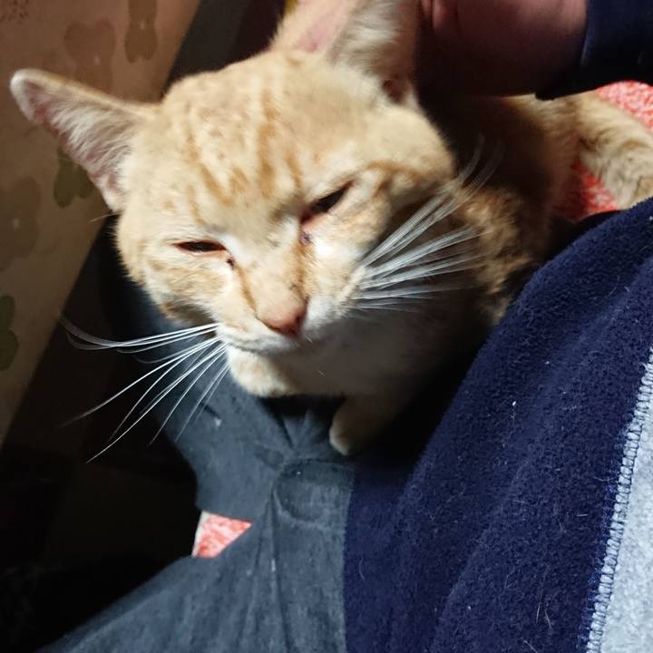 C5391212 45bd 47f5 a980 2dfc631143f0 1555358864016