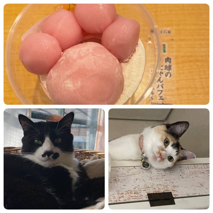 C5394142 4b2a 4170 8e7e e67333189f6a 1708414301720