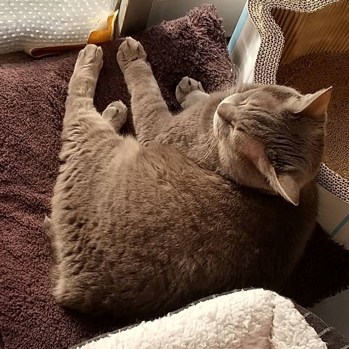 C5398227 63a1 478e 83fb b6f3e1cbb06a 1604186578859