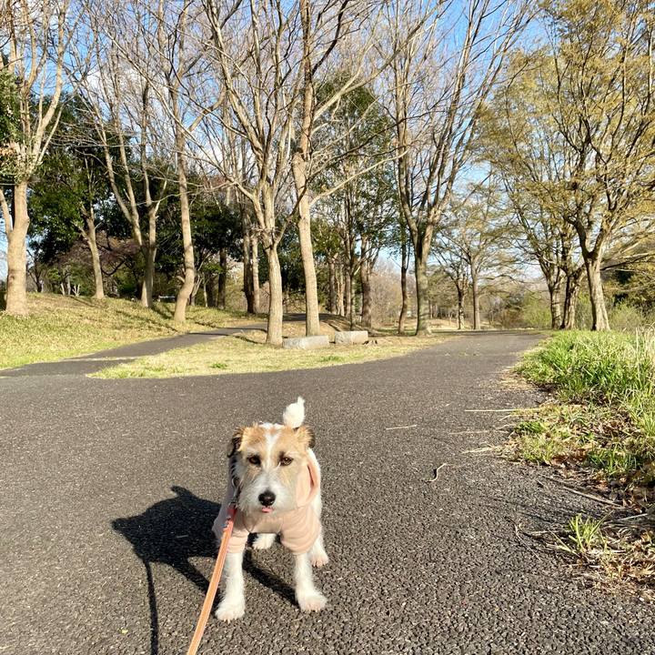 C539c0c2 288f 4b27 9c85 99e586943720 1679302095527