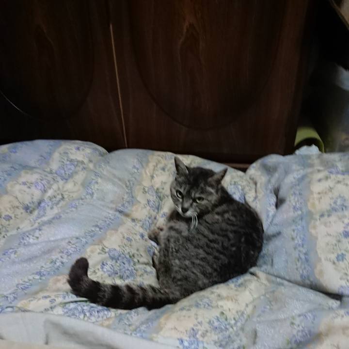 C539d702 b4d1 4ce1 83d2 306e13a9fc56 1589545433495