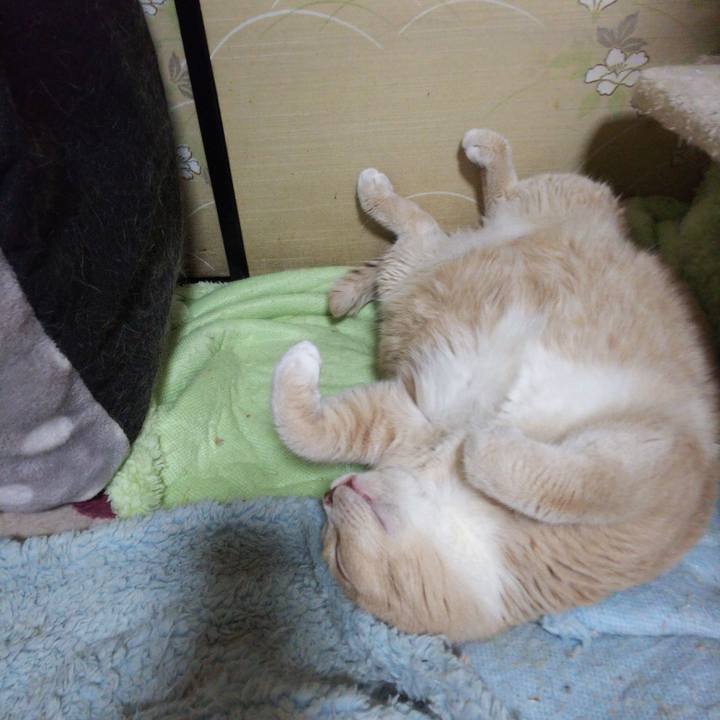 C53a0427 2c49 401e a761 f4cb77fe5e57 1543687682996