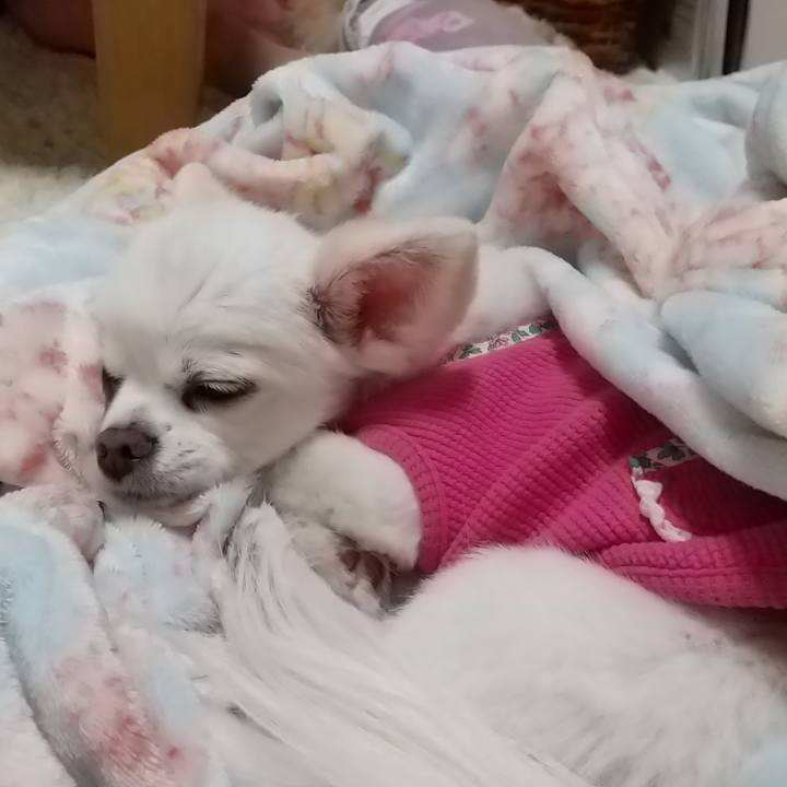 C53a04d9 2b76 42d1 963c 565f2e1d3411 1605090400649