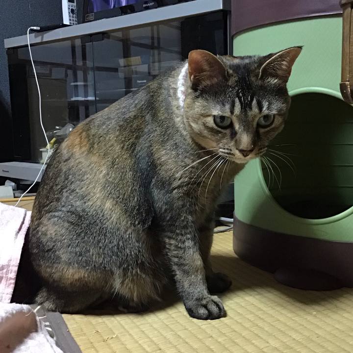 C53a3002 5ef6 4273 ab15 5dcac965e809 1674132387238