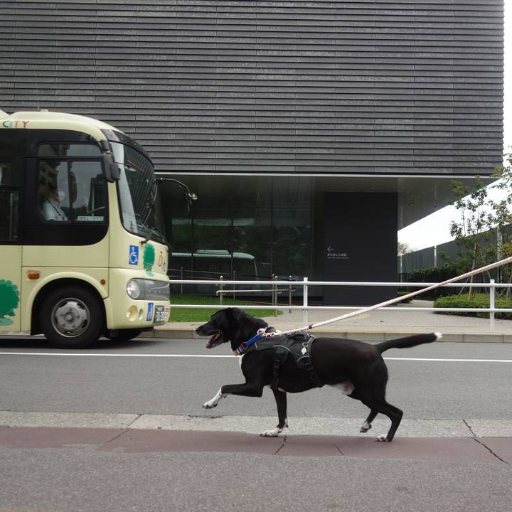 C53a3da6 1faf 4c36 aac7 8963e64d52dc 1664411158588