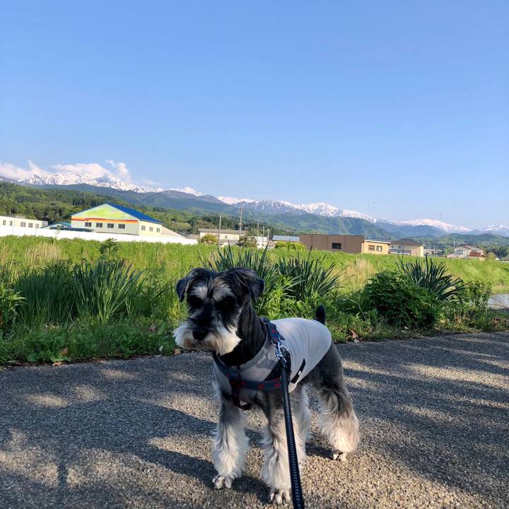 C53a66ad 4500 4c73 a131 6a049bb12a9a 1651594214861