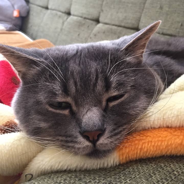 C53aad53 1562 4725 8d4c bc0e7a8aff91 1538781103614