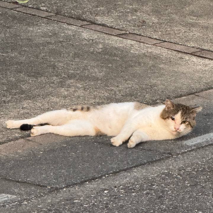 C53ab383 a952 49da b9ae 0897dbf4f550 1758075116466