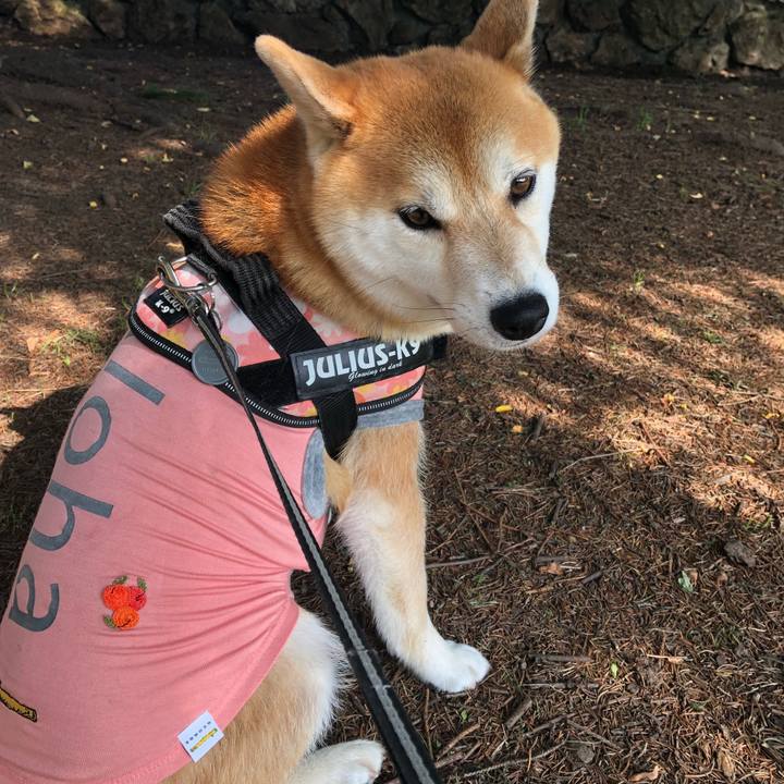 C53aee05 6e3a 44c2 b014 3be2c55c7997 1532053647935