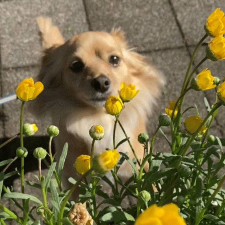 C53afafa 9f36 402d 9a4c 537c56b2f4ee 1589587442523