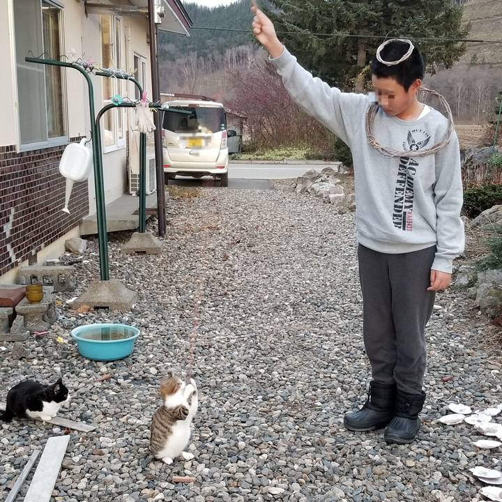 C53b0d0d ccf9 43a8 bede b067dff659bc 1605428710021