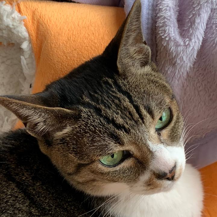 C53b37ab 6156 49c4 9368 a783902c739b 1584147008221