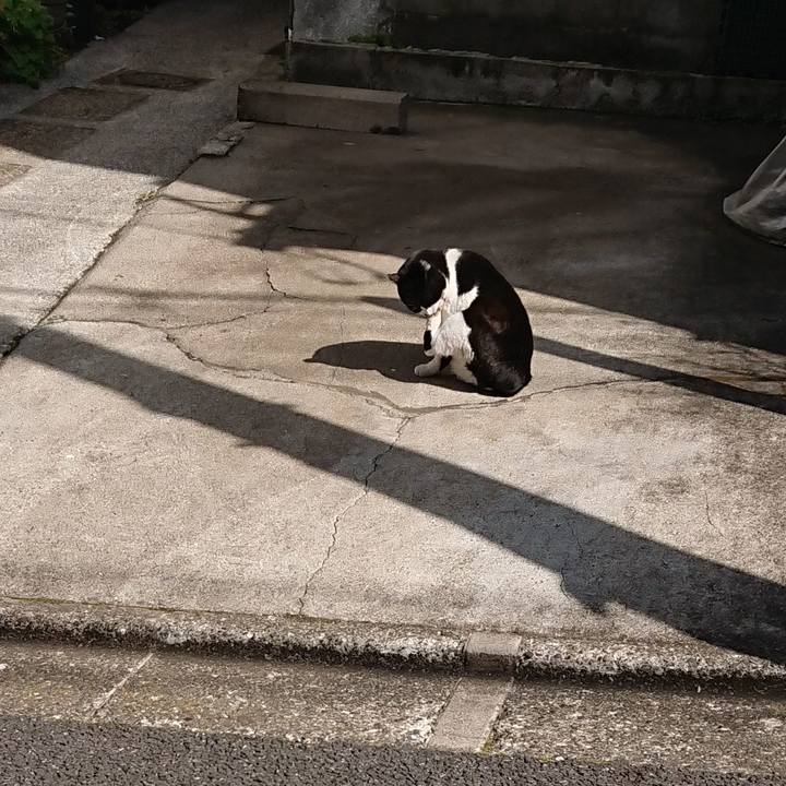 C53b594f 7b4c 429f a814 2e256a23fafe 1647839860757