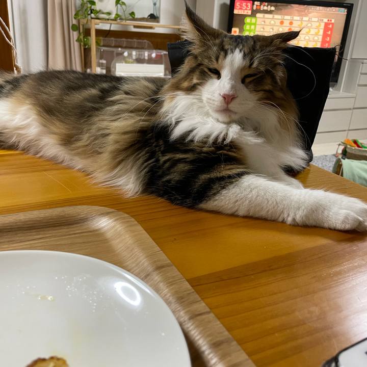 C53b729b fc88 467e a1dd e8ea02f9e2be 1642539385805