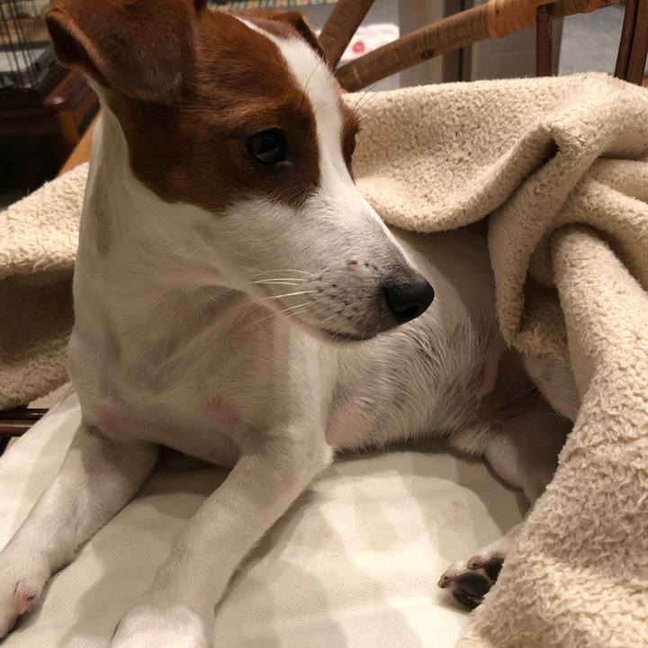 C53b92a0 1daa 46bf 939f 044413bece2c 1545820952947