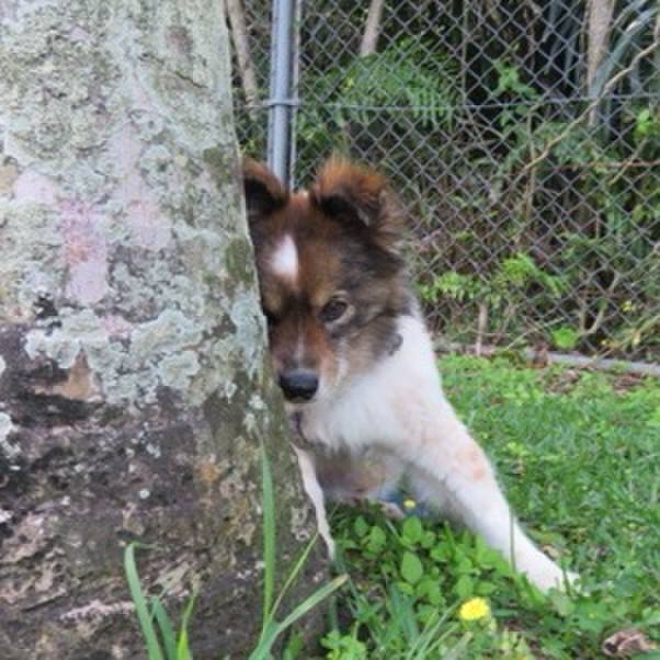 C53baad1 1bcc 41d0 9652 5b9c50c2d234 1618027305888