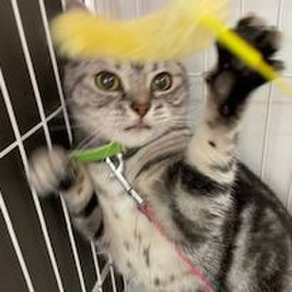 C53bd176 ff82 4a62 9383 59449cbeb9de 1752893308495