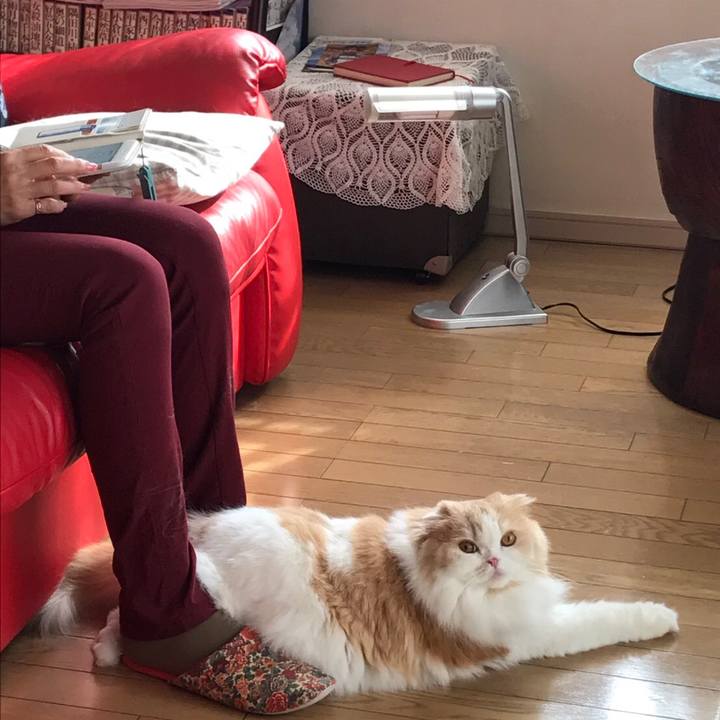 C53be1e9 8461 43bb 85fd 14632bb1c493 1521374095156