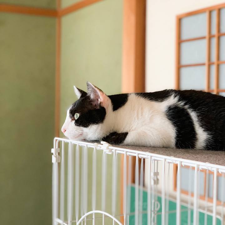 C53c216b 31ef 4ff7 9aa6 5b298d7cc8c6 1567733951769